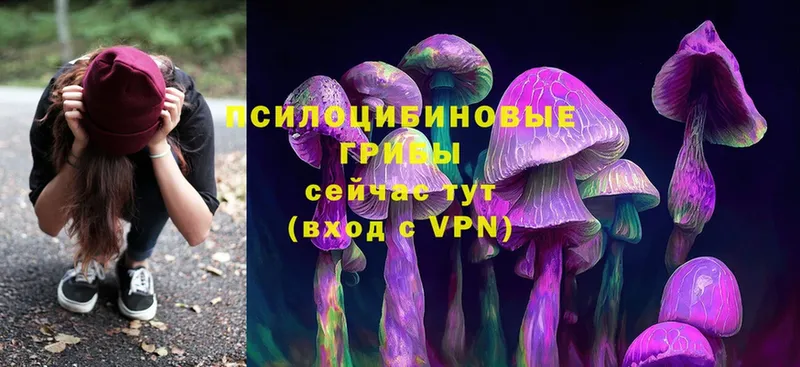 Псилоцибиновые грибы Cubensis  продажа наркотиков  Дагестанские Огни 